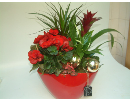 Christmas Planters